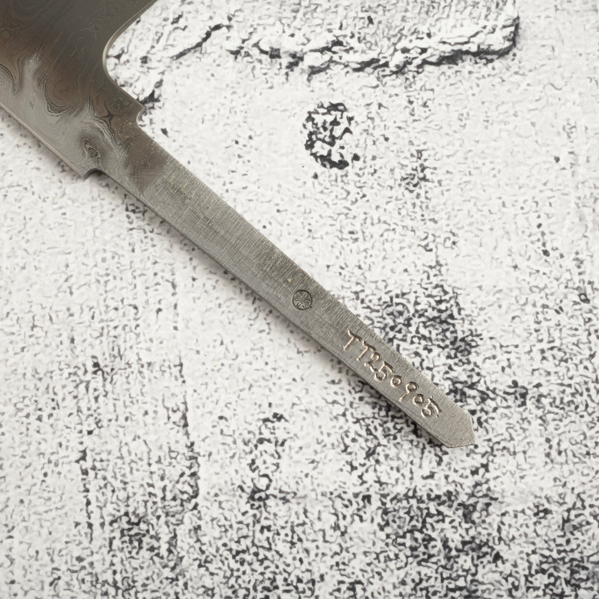 Exotic: Shoichi Hashimoto (橋本庄市) Chihaya (ちはやふる・千早)  Blue / White Coreless Gyuto 210mm