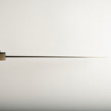 Exotic: Shoichi Hashimoto (橋本庄市) Zaregumo (ざれぐも・戯雲)  Blue / White Coreless Gyuto 270mm