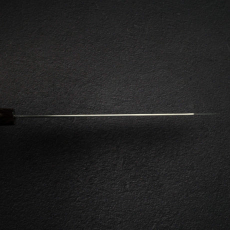 Sukenari SG2 Hairline K-tip Gyu-hiki 240mm, Ebony Handle with Spacer