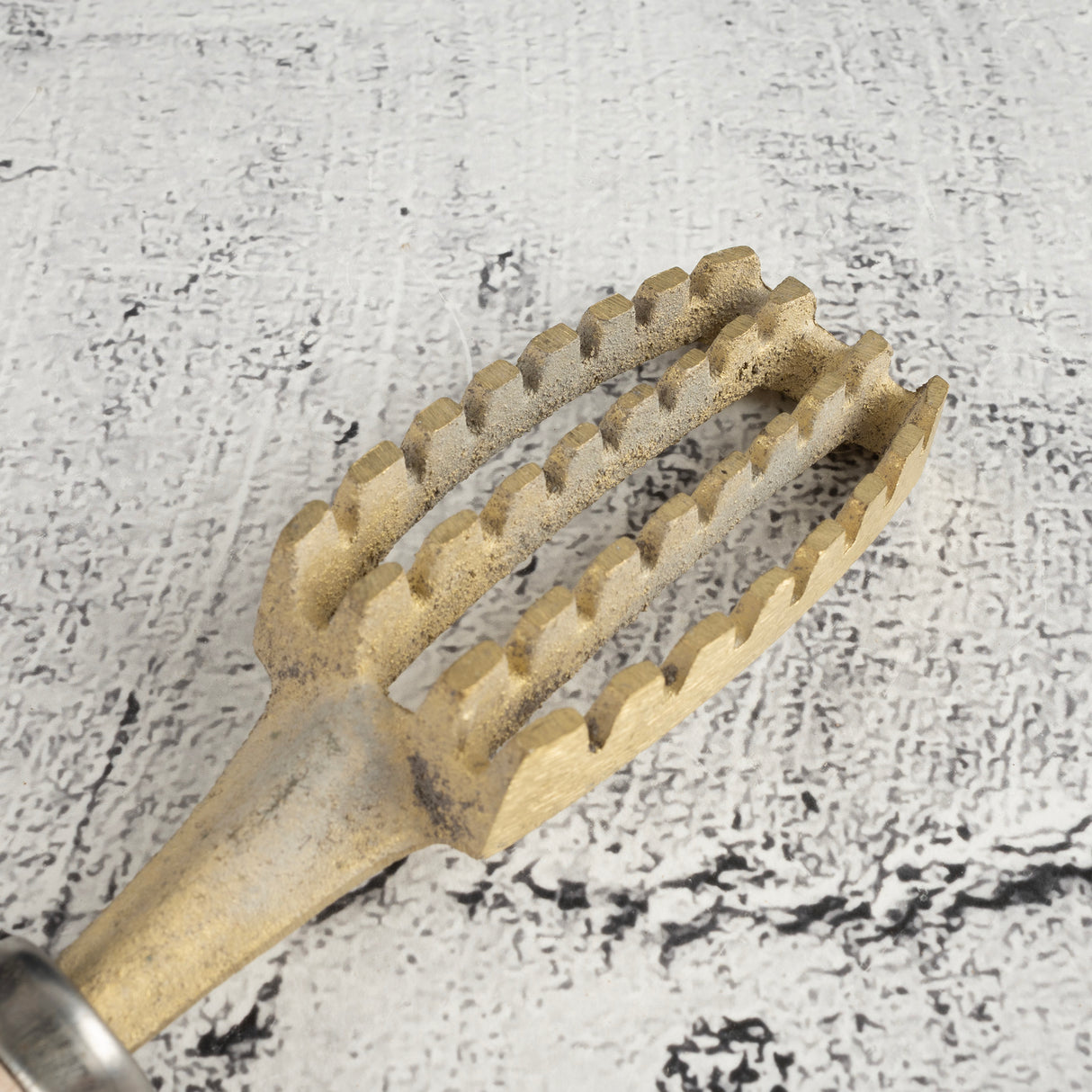 Generic Brass Fish Scaler Large