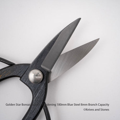 Golden Star "Okubo" Bonsai Scissors by Kinboshi 8mm Capacity