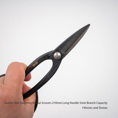 Golden Star "Ashinaga" Bonsai Scissors by Kinboshi