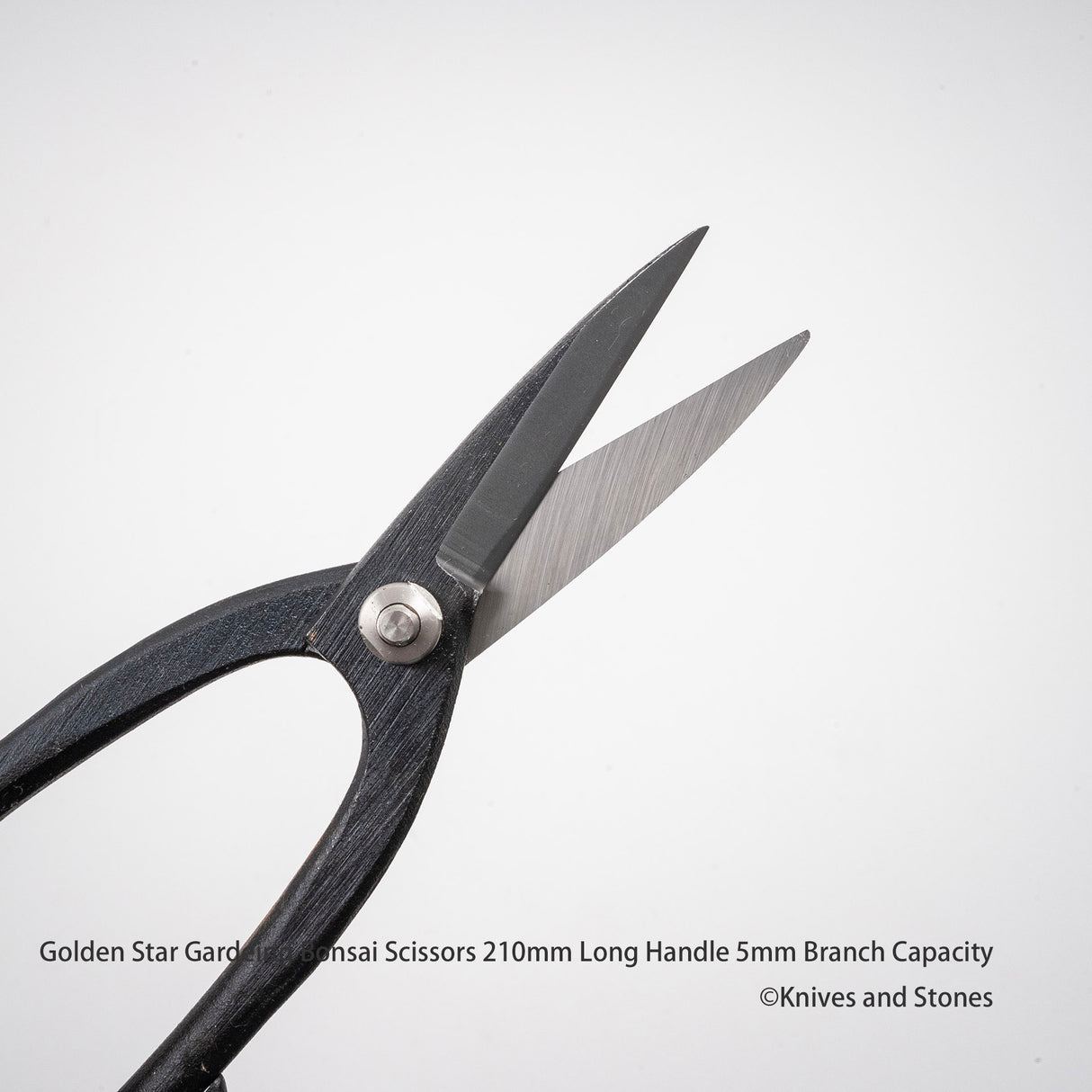 Golden Star "Ashinaga" Bonsai Scissors by Kinboshi