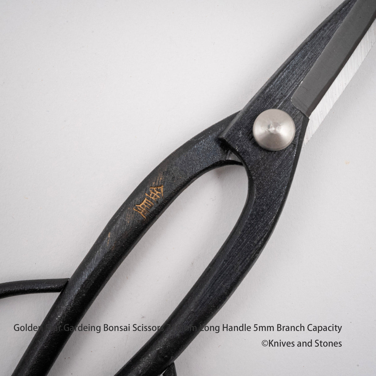 Golden Star "Ashinaga" Bonsai Scissors by Kinboshi