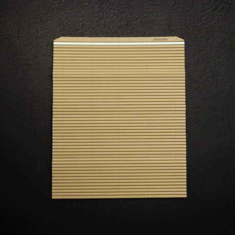 Hasegawa Anti-Bacterial Makisu Sushi Mat