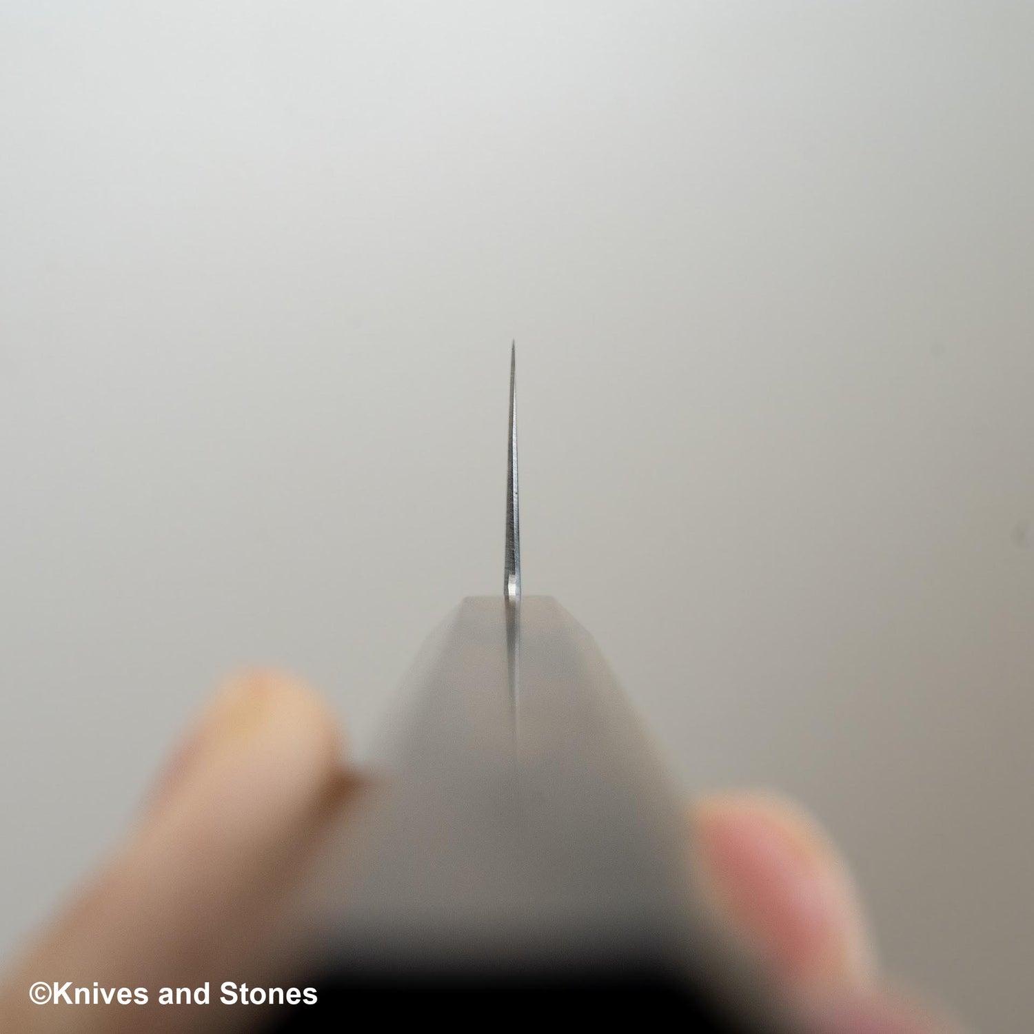 Hatstukokoro Hayabusa SG2 Migaki Santoku 180mm 黑色 Chacate