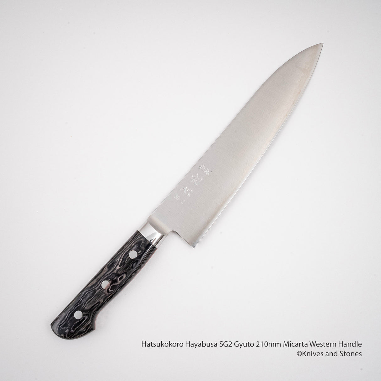 Hatsukokoro Hayabusa SG2 Gyuto 210mm 米卡塔西式手柄