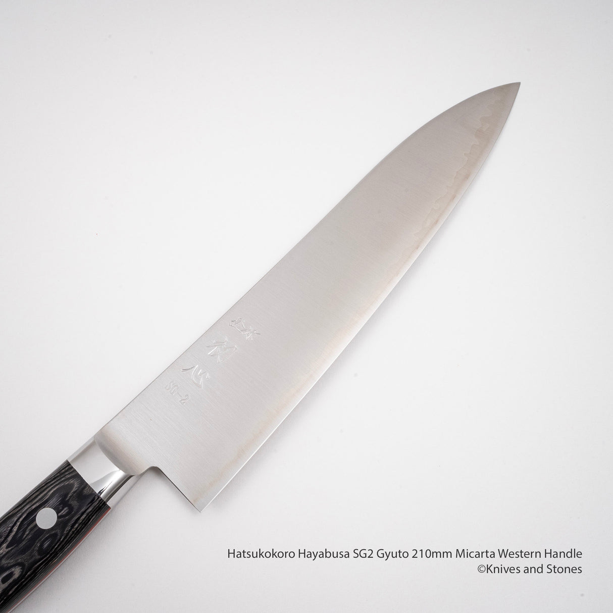 Hatsukokoro Hayabusa SG2 Gyuto 210mm 米卡塔西式手柄