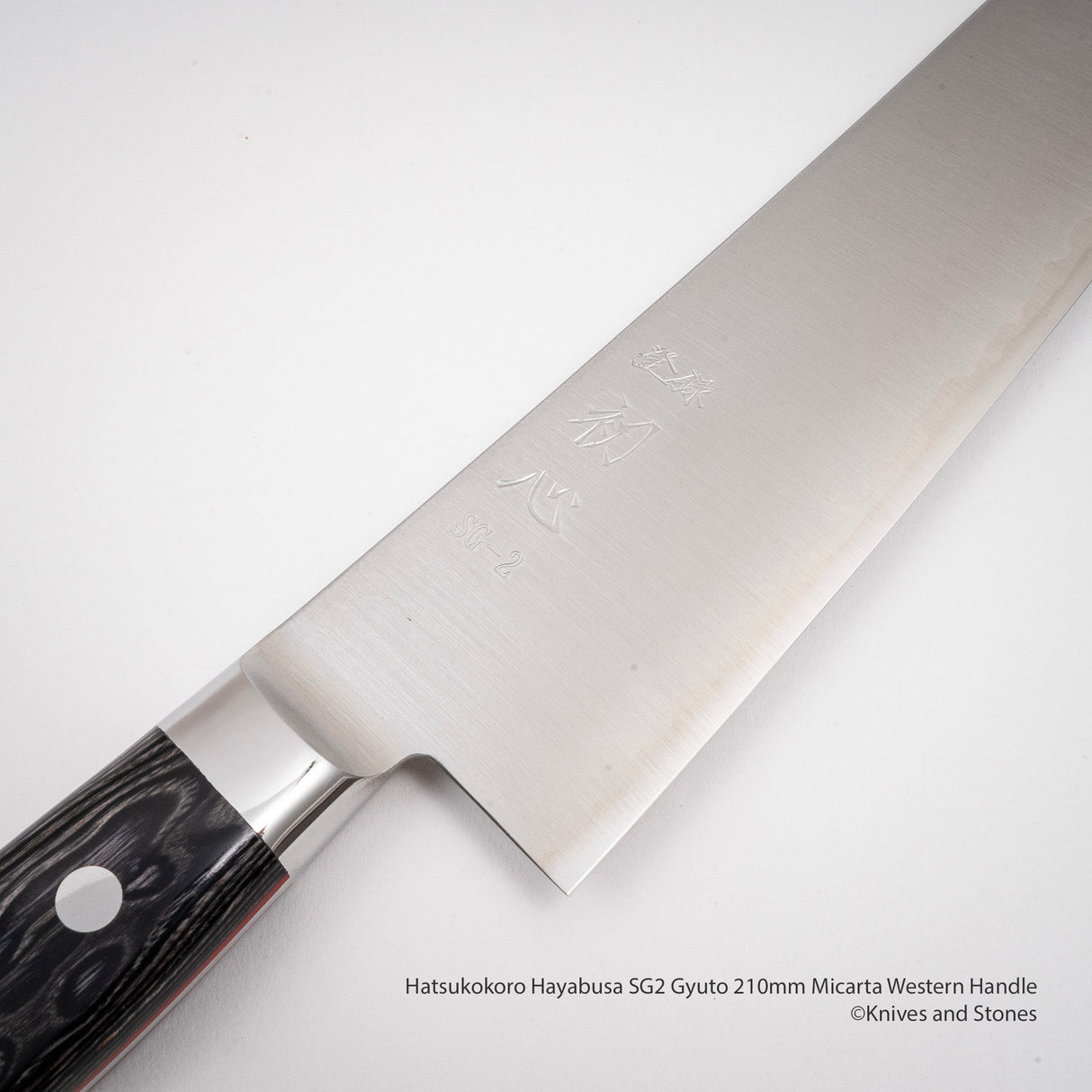 Hatsukokoro Hayabusa SG2 Gyuto 210mm 米卡塔西式手柄