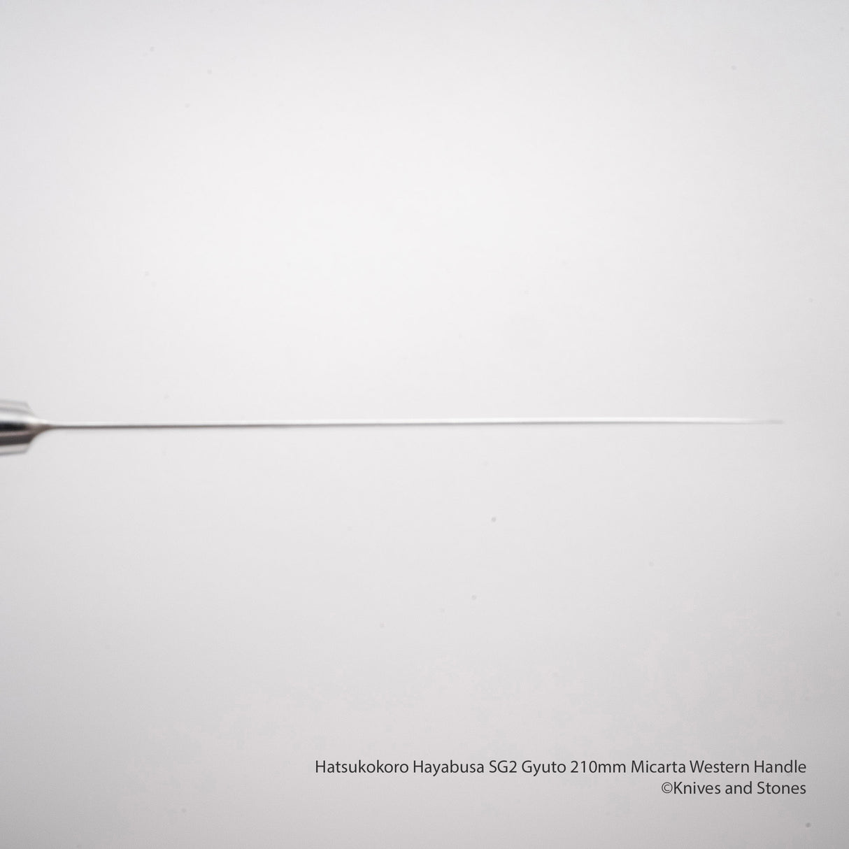 Hatsukokoro Hayabusa SG2 Gyuto 210mm 米卡塔西式手柄