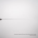 Hatsukokoro Hayabusa SG2 Gyuto 210mm 米卡塔西式手柄