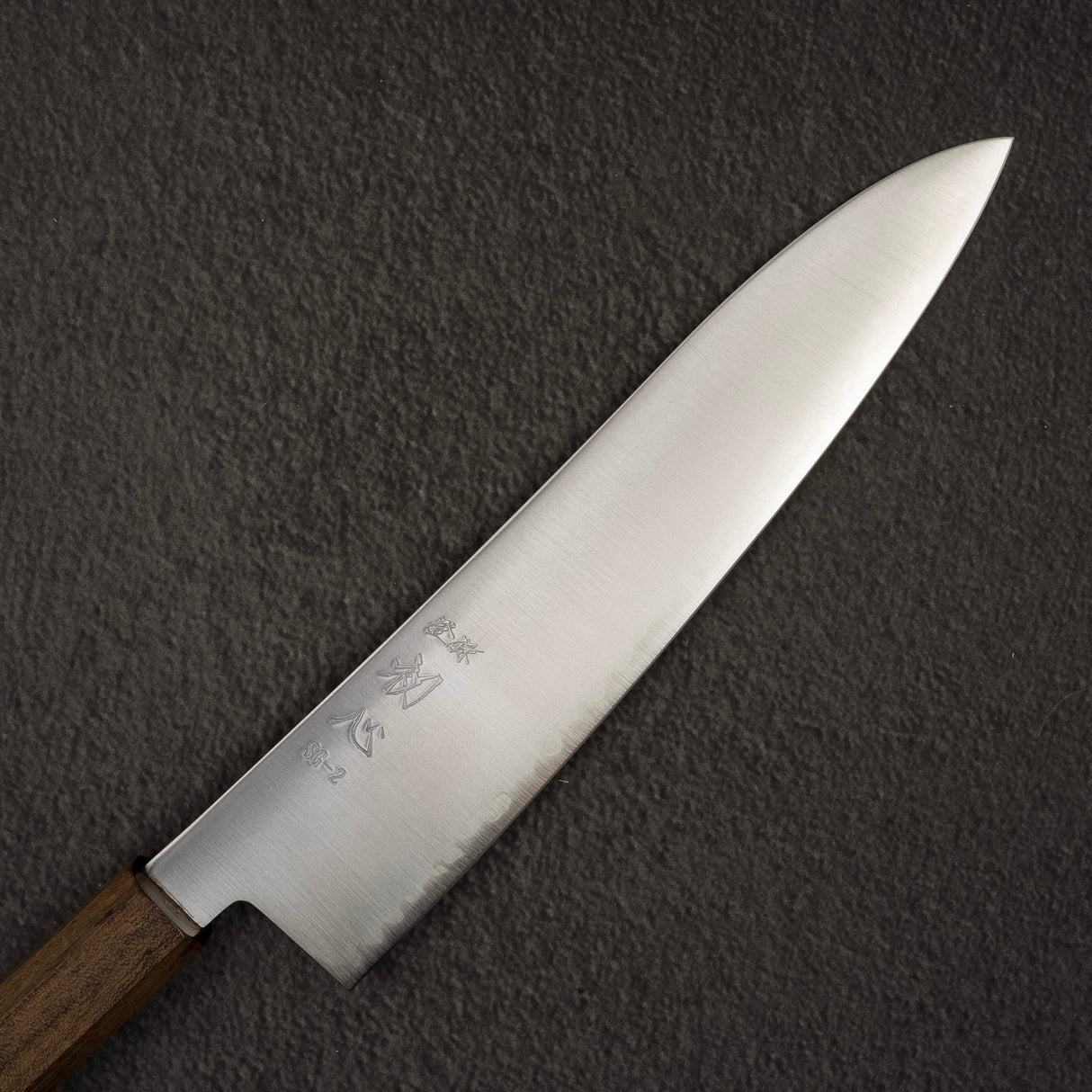 Hatsukokoro Hayabusa SG2 Migaki Gyuto 210mm