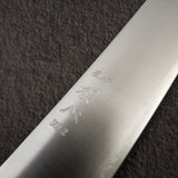 Hatsukokoro Hayabusa SG2 Migaki Gyuto 210mm