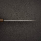 Hatsukokoro Hayabusa SG2 Migaki Gyuto 210mm
