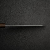 Hatsukokoro Hikari SLD Damascus Santoku 170mm