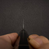 Hatsukokoro Itadaki Blue2 &amp; White2 雙核大馬士革 Tcushime K-tip Gyuto 210mm