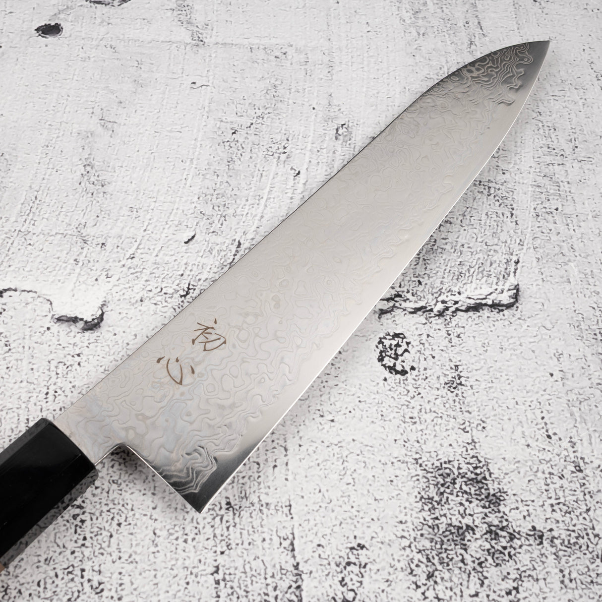 Hatsukokoro Ryuhyo SG2 Damascus Gyuto 210mm