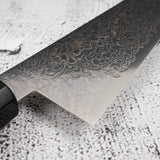 Hatsukokoro Ryuhyo SG2 Damascus Gyuto 210mm