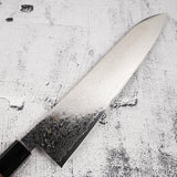 Hatsukokoro Ryuhyo SG2 Damascus Gyuto 240mm