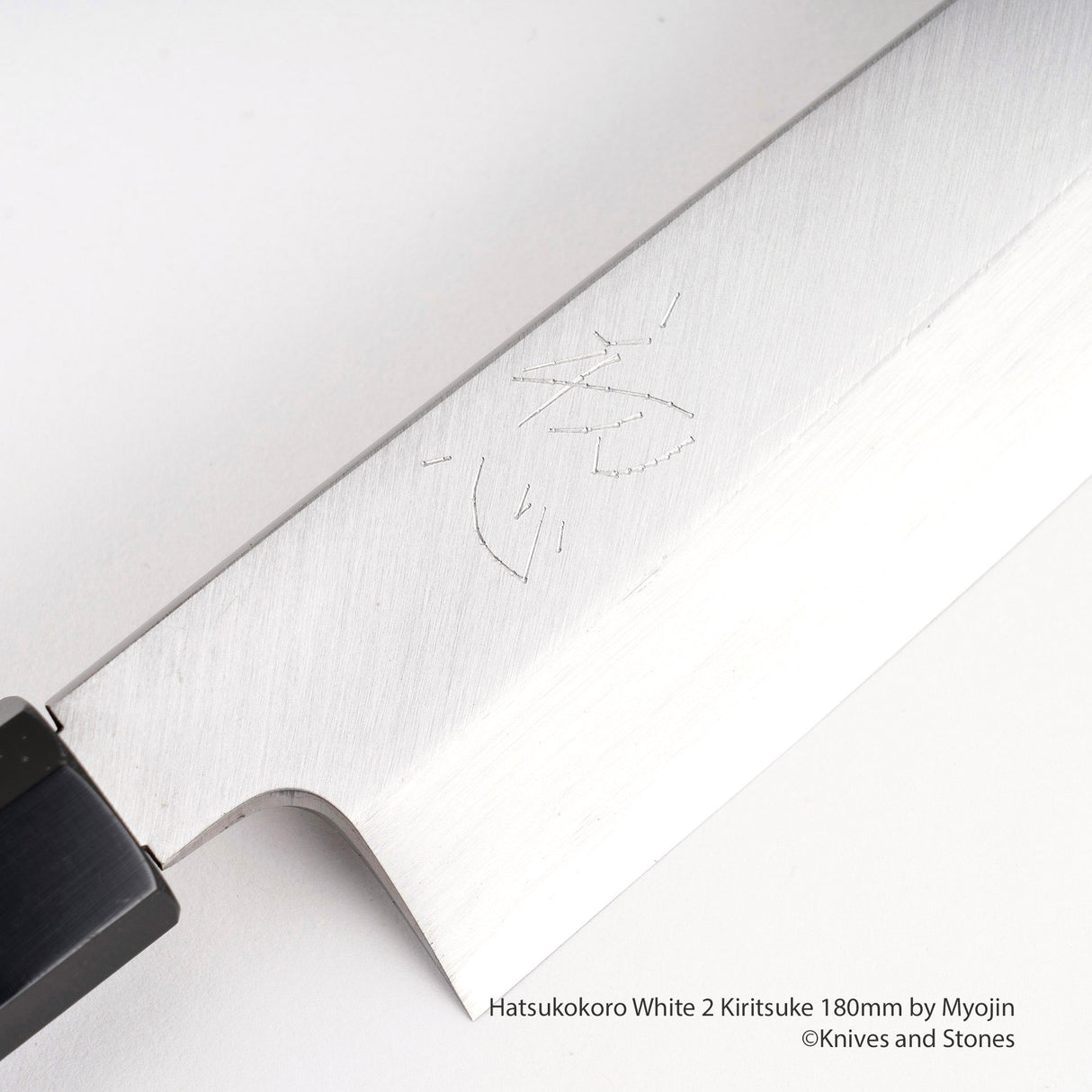Myojin Shirasagi 白色 2 單斜面 K-Tip Gyuto 180/195/210/240 毫米
