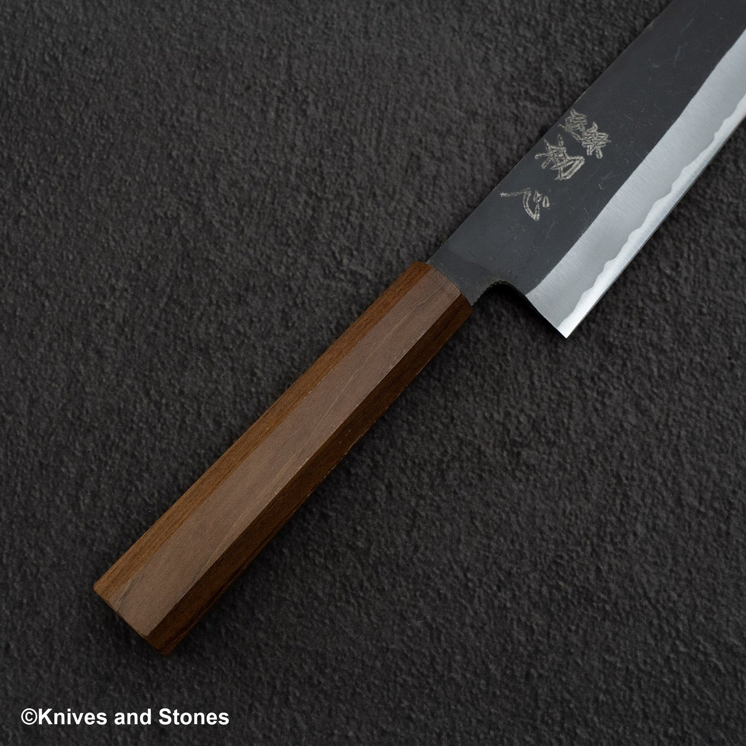 初心青鷺 藍色 2 黑內牛斗 240mm 黑色 Chacate