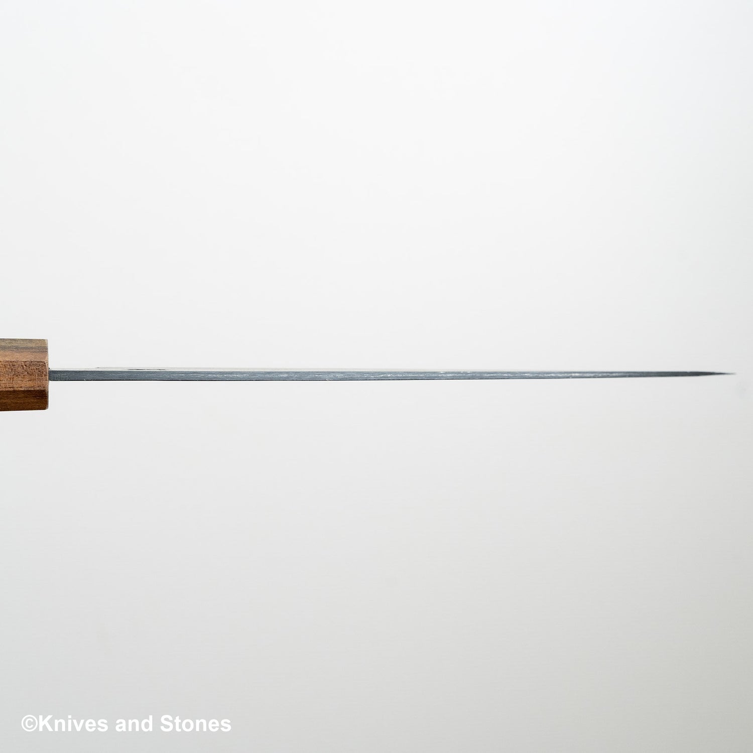 初心青鷺 藍色 2 黑內牛斗 240mm 黑色 Chacate