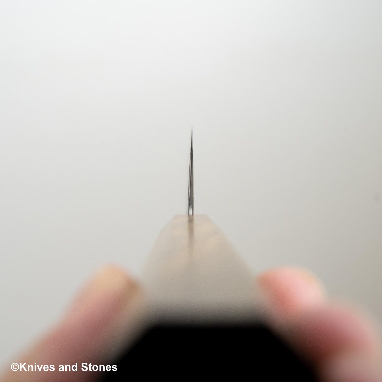 Hatsukokoro Ginso Ginsan Nickel Damascus Santoku 180mm Black Chacate