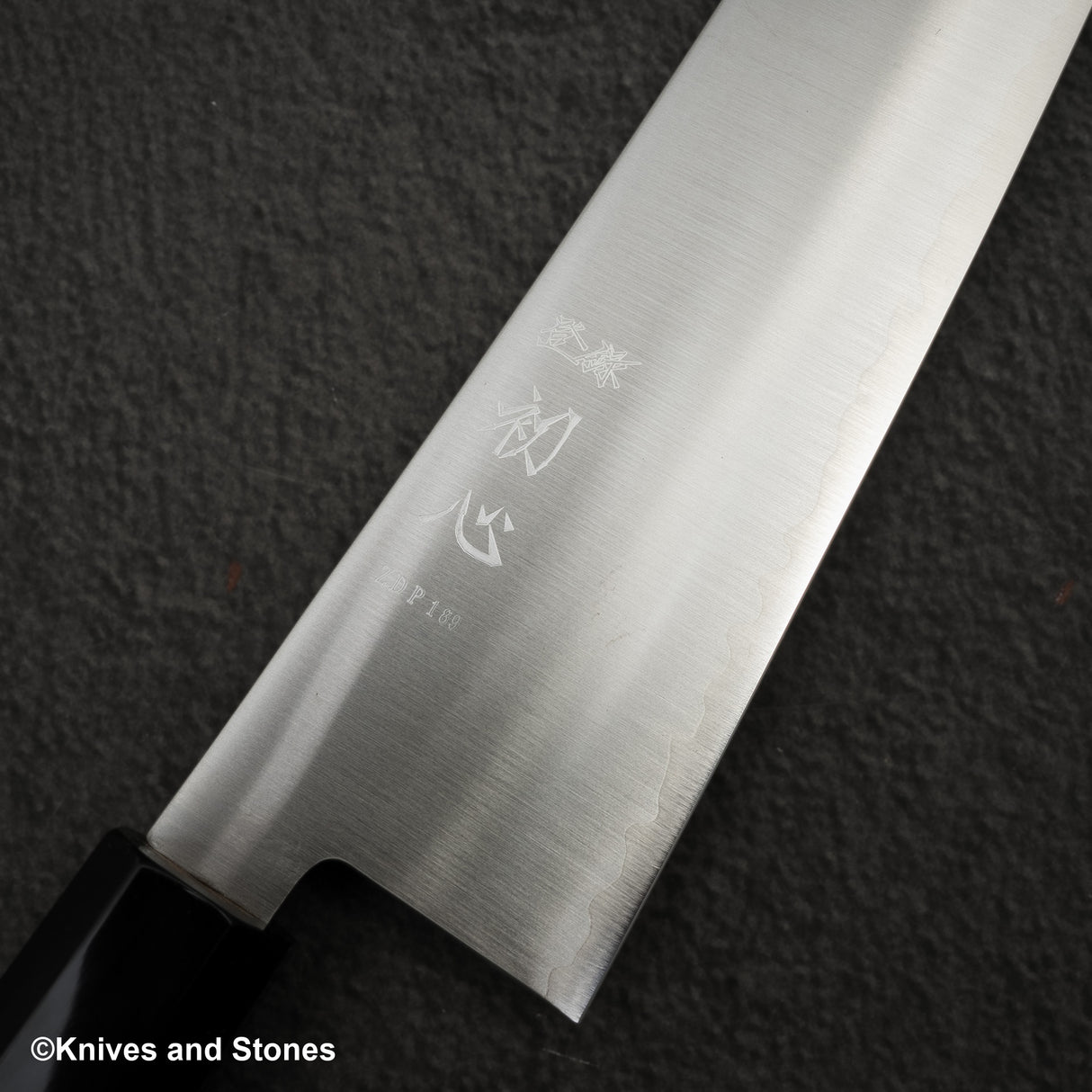 初心隼 ZDP189 Migaki Gyuto 240mm