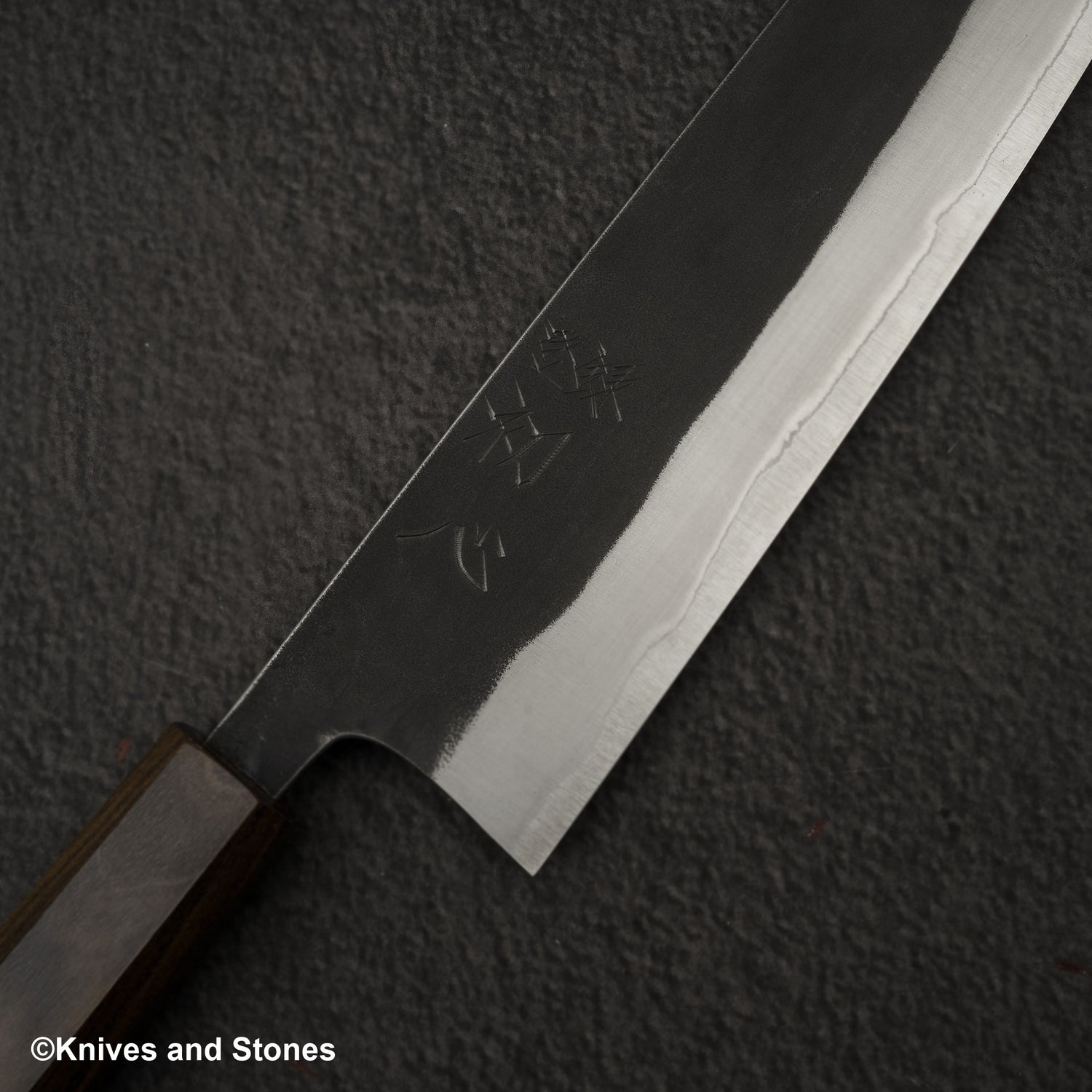 Hatsukokoro Kurokaze Blackwind 白色 2 Gyuto 210mm 不鏽鋼包層