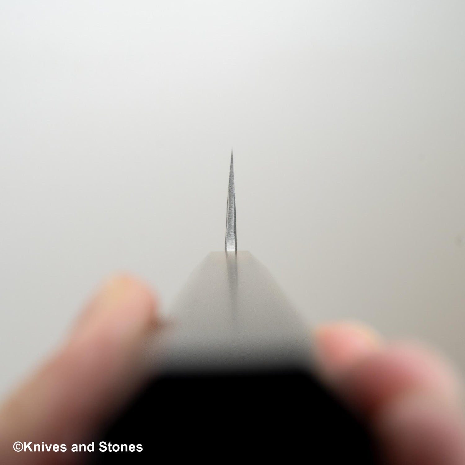 Hatsukokoro Kurokaze White 2 Kurouchi Gyuto 180mm 不鏽鋼包覆黑色 Chacate