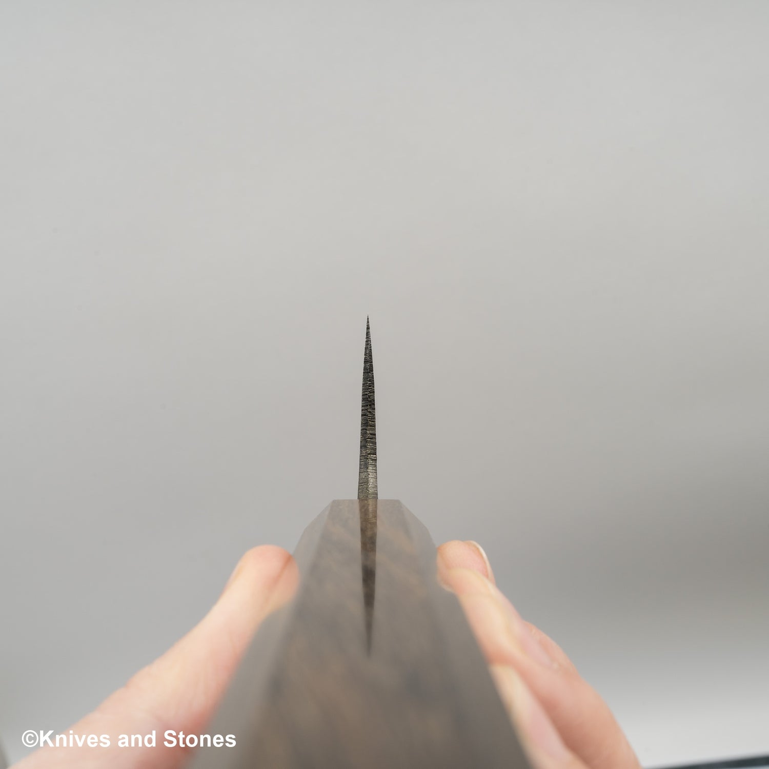 Hatsukokoro Kurokuma Blue 2 Kurouchi Santoku 165mm