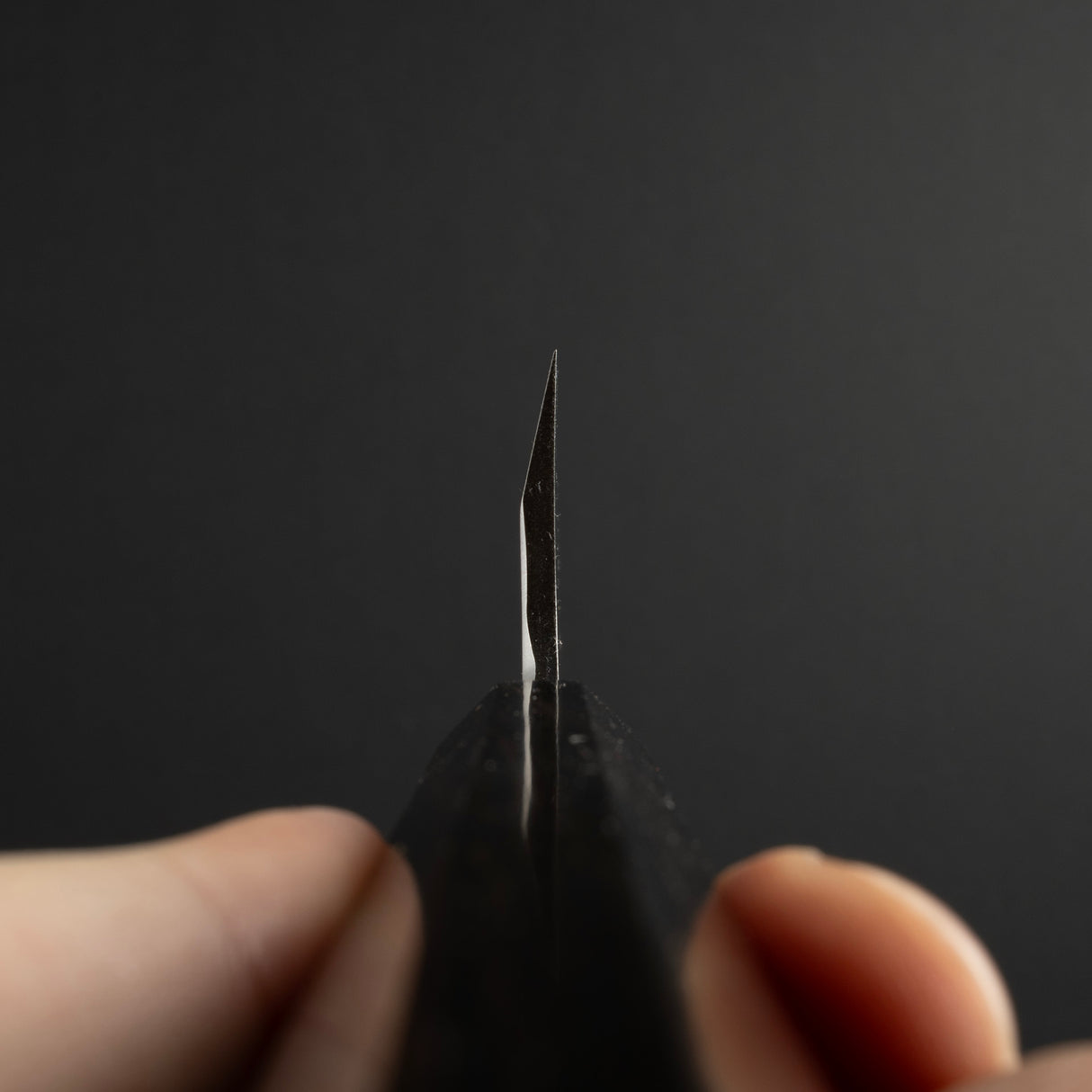 初心×明神白鷺銀山出羽 150mm