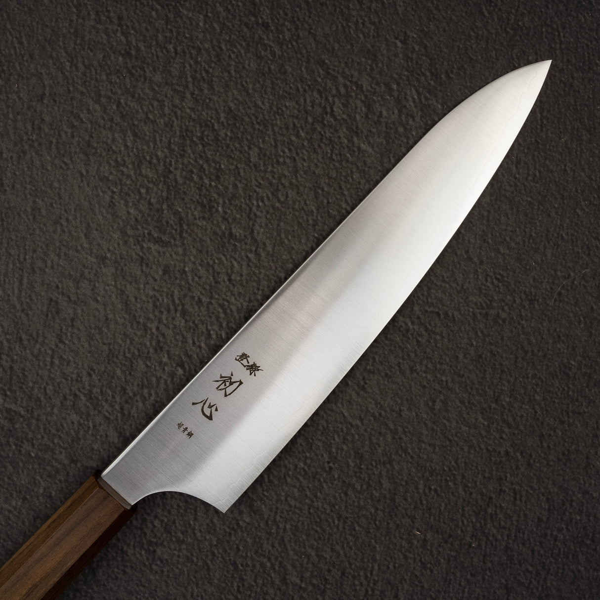 Hatsukokoro Hayabusa Aogami Super Migaki Gyuto 210mm Black Chacate