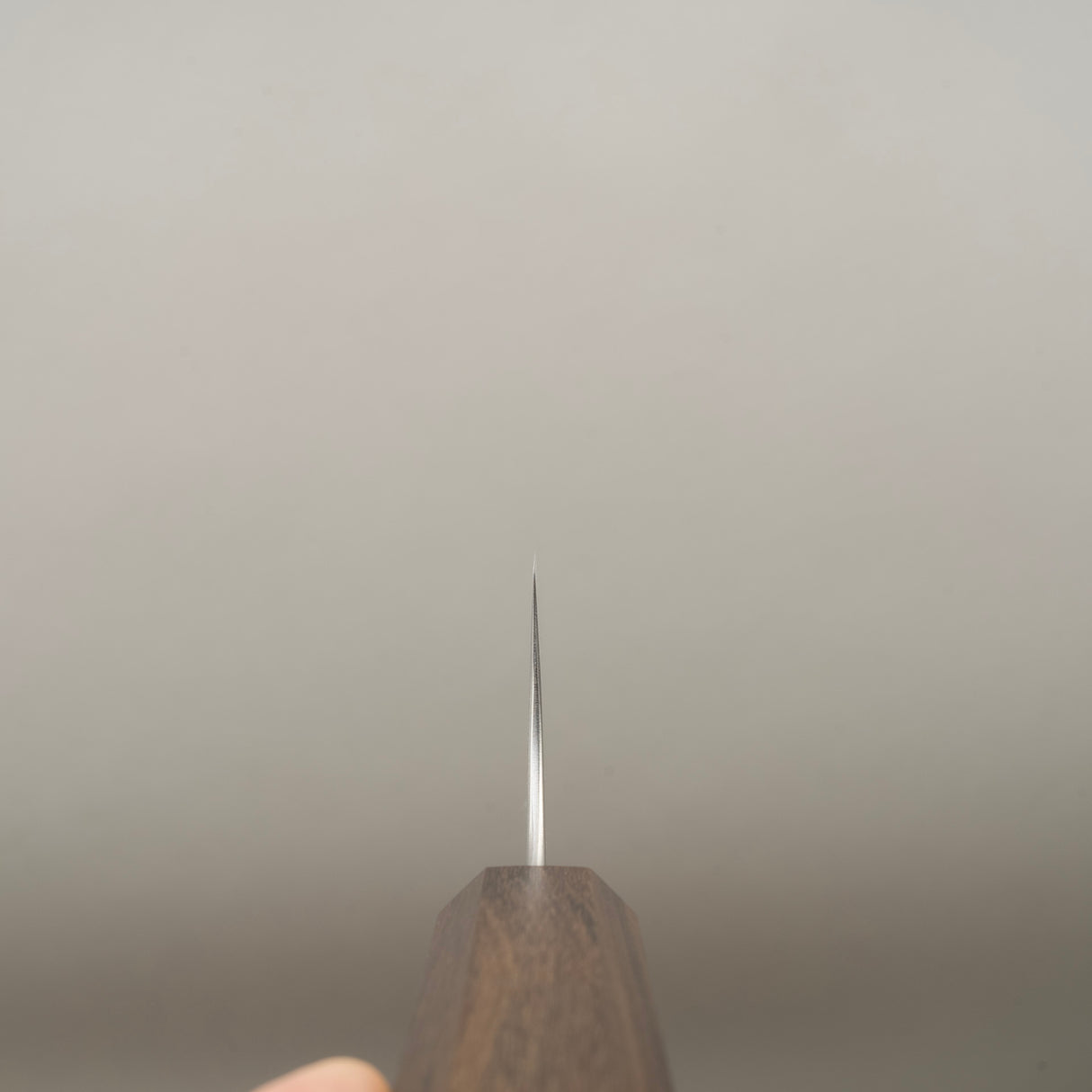 Hatsukokoro Hayabusa Aogami Super Migaki Gyuto 210mm Black Chacate
