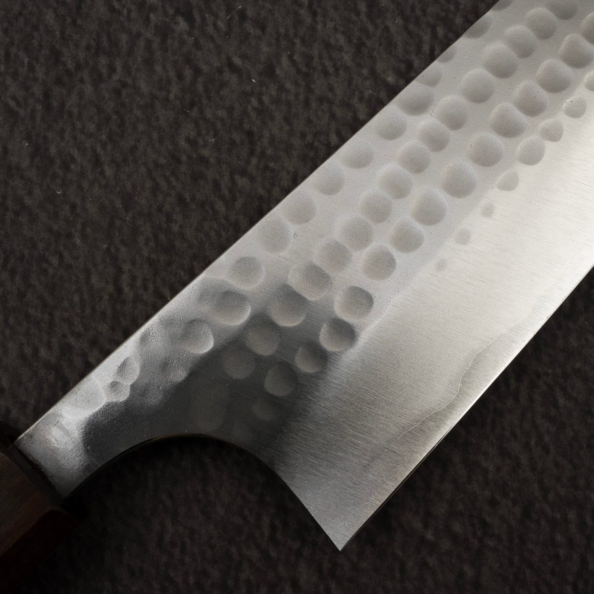 Katsushige Anryu Blue 2 Tsuchime 不鏽鋼複合牛刀 210mm 烏木手柄