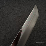 Nakagawa VG10 Sakimaru Takobiki 270mm Mirror Polish