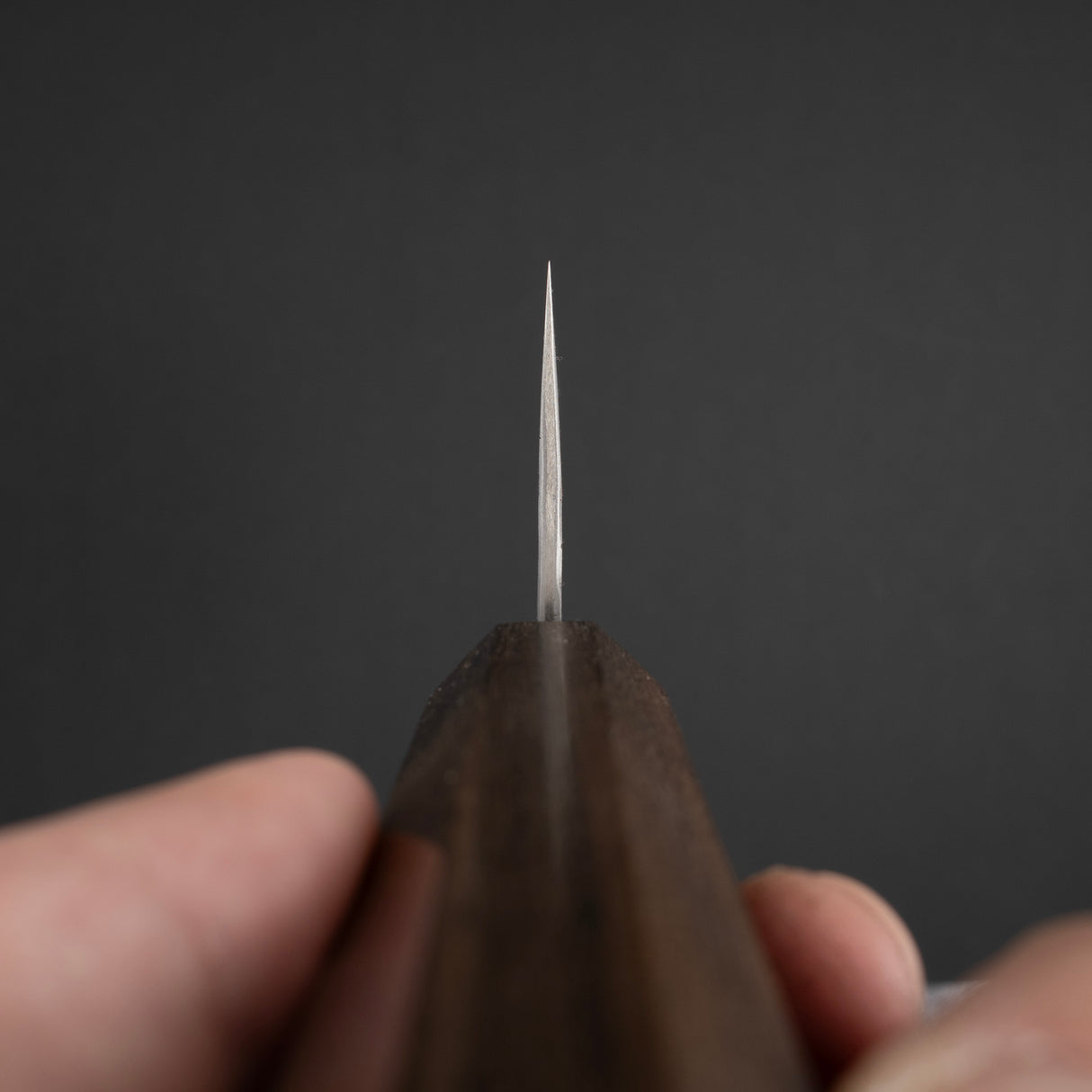 Nigara Aogami（藍色）超級K-tip Gyuto 240mm Tsuchime 黑色Chacate