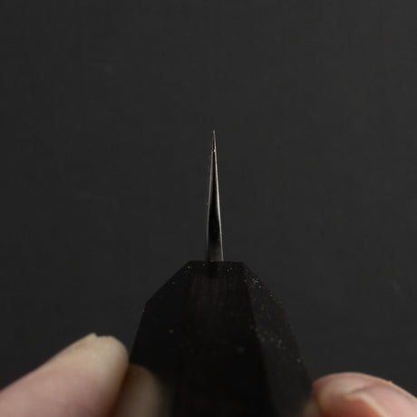 二唐 SG2鋼 / SG2粉末高速鋼 黑打 鎚目 小刀 / 蔬果刀 120mm