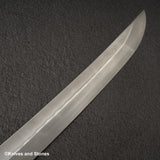 Nigara White 1 水本燒 富士山濱門崎丸 360mm
