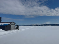 Rice field in Winter 2026 Visit