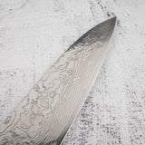 Takeshi Saji 鑽石大馬士革 SG2 Gyuto 240 毫米鐵木手柄