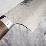 Takeshi Saji 鑽石大馬士革 SG2 Gyuto 240 毫米鐵木手柄