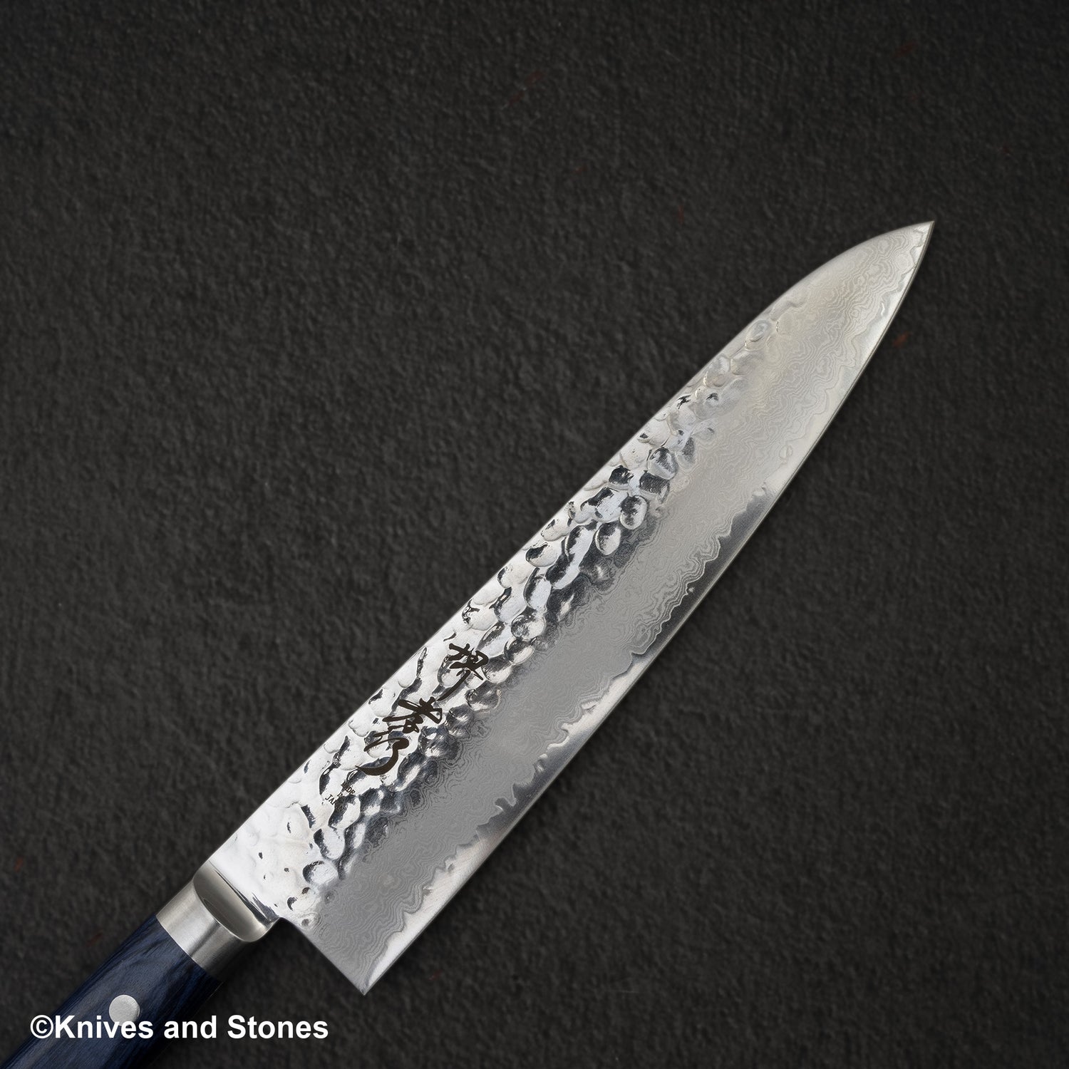 Sakai Takayuki VG10 33 Layer Damascus Gyuto 210mm Blue Handle Special