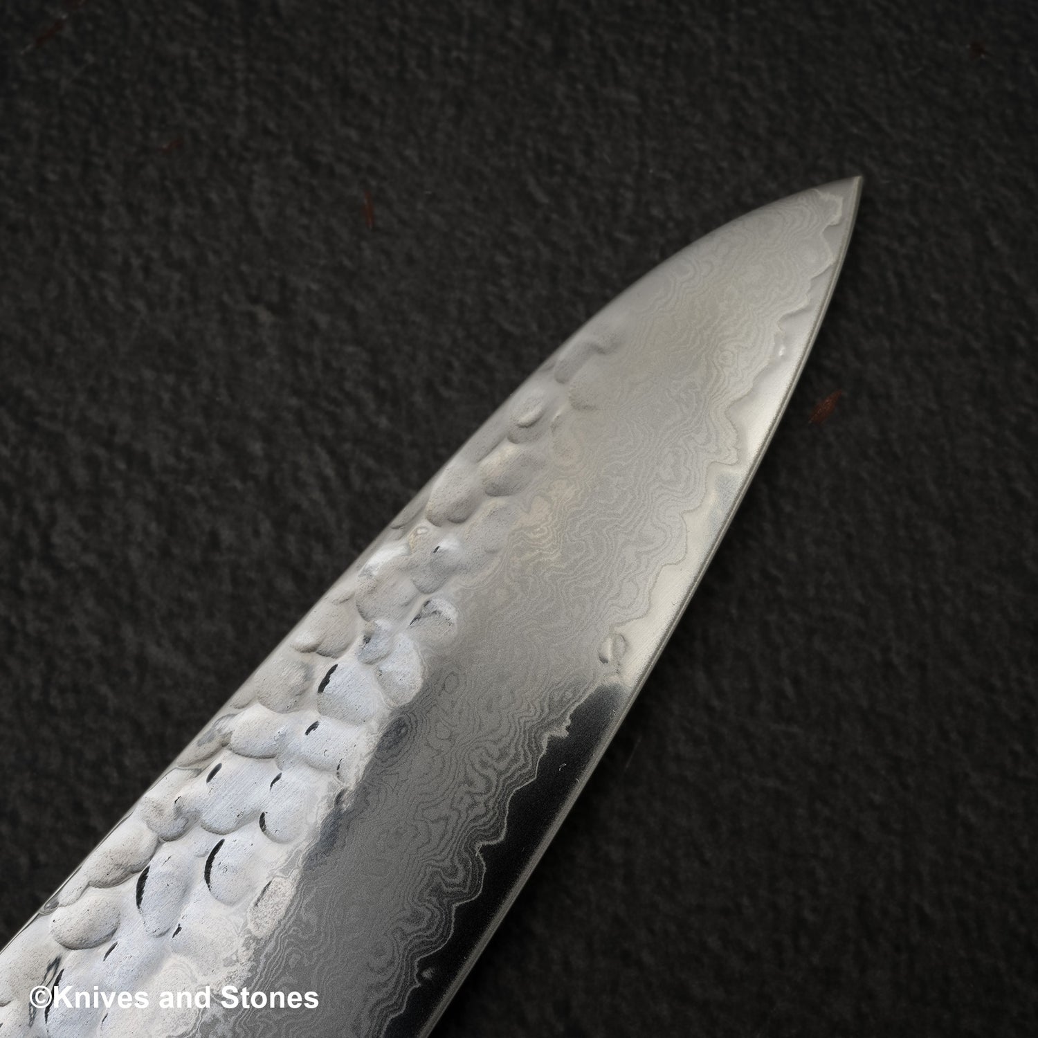 Sakai Takayuki VG10 33 Layer Damascus Gyuto 210mm Blue Handle Special