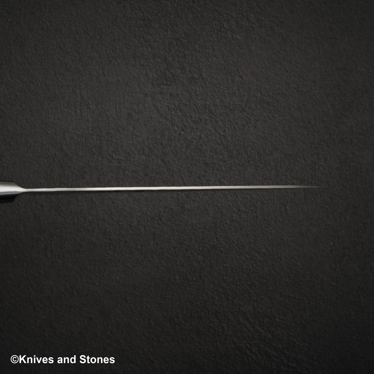 Sakai Takayuki VG10 33 Layer Damascus Gyuto 210mm Blue Handle Special