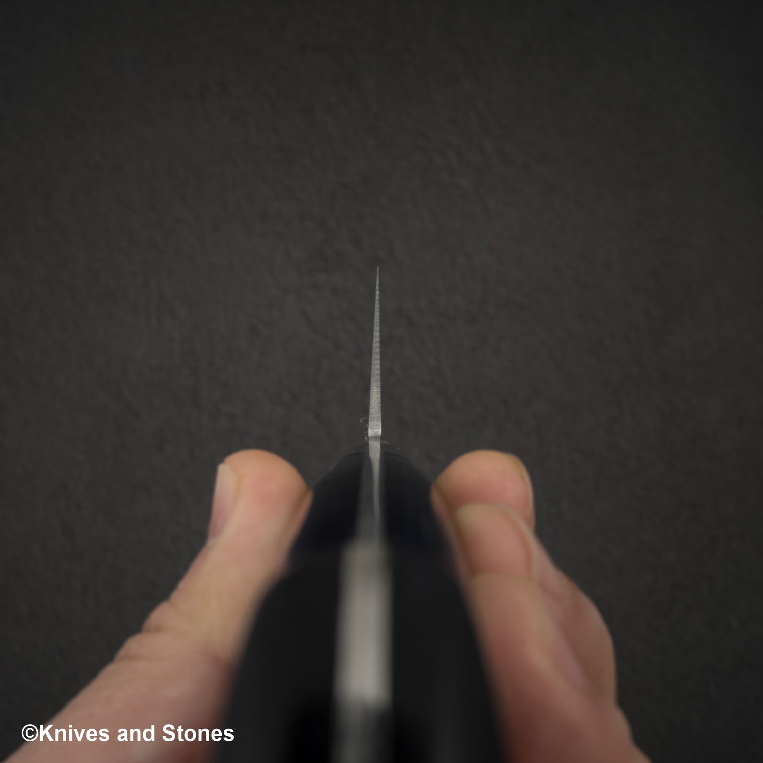 Sakai Takayuki VG10 33 Layer Damascus Gyuto 210mm Blue Handle Special