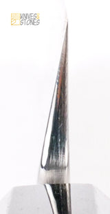 Sukenari SG2 Ni-mai（2 層）柳葉 300 毫米，鏡面拋光 Hira，免費 K&amp;S Wenge 木鞘