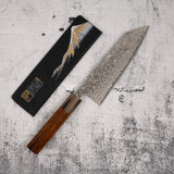 Takeshi Saji SG2 黑色大馬士革 Petty 150mm