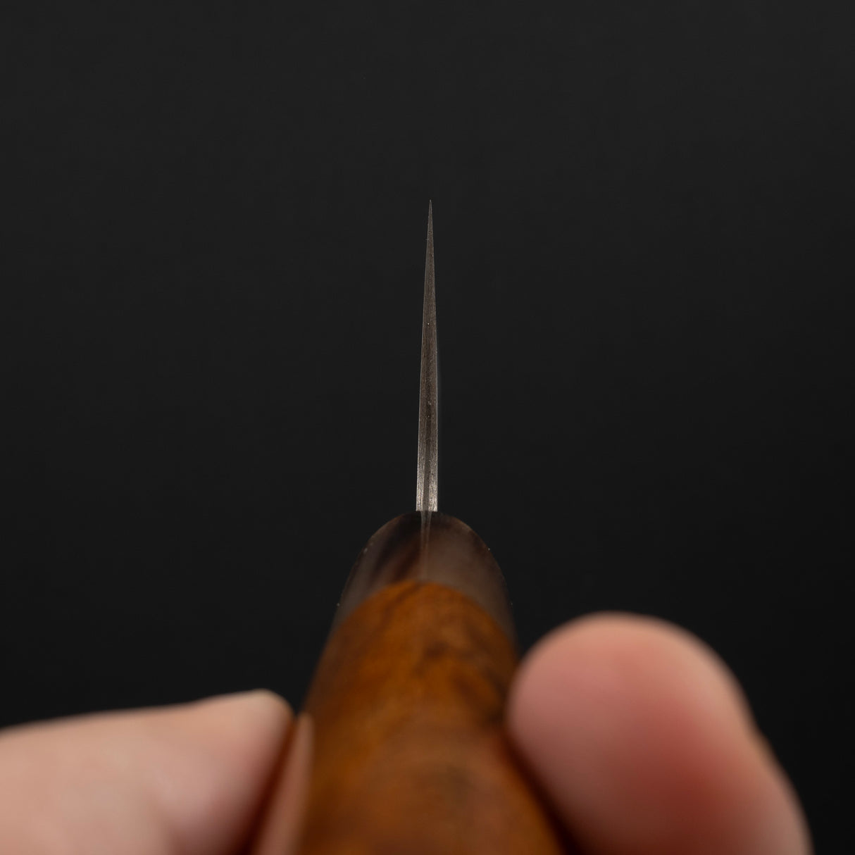Takeshi Saji SG2 黑色大馬士革 Petty 150mm