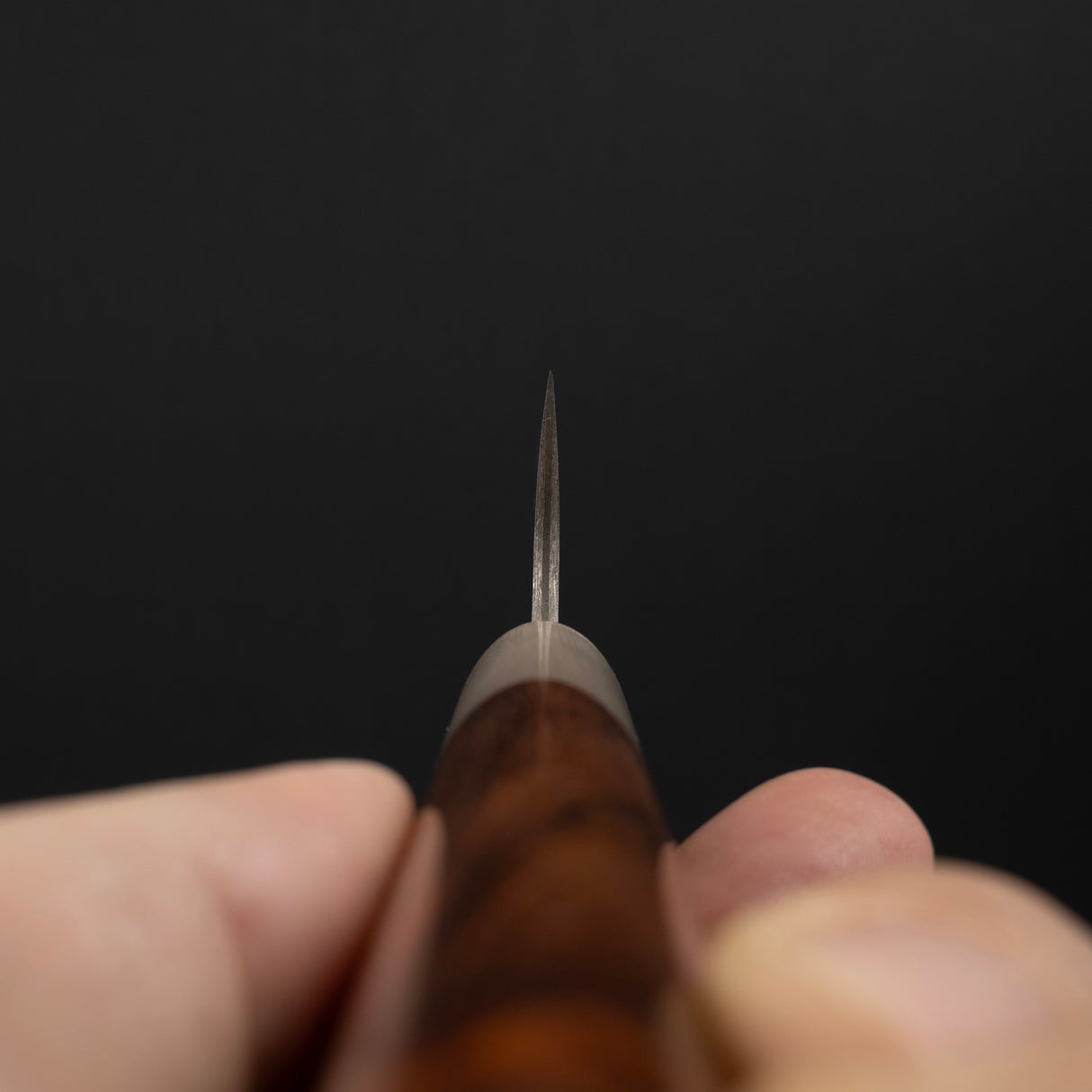 Takeshi Saji SG2 黑色大馬士革 Petty 150mm
